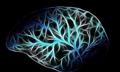 Optogenética: Qué es y por qué el Nobel de Medicina 2026 la reconoce