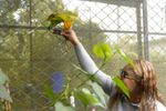 Imagen de Estudiantes de Santa Elena crean mariposario tecnológico