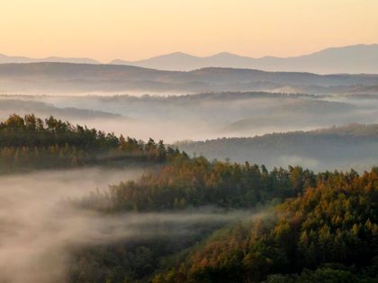 Imagen de Más de 1500 millones de hectáreas de bosque están degradadas, según un informe de la FAO